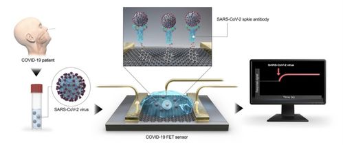 病毒快速檢測和分析 探究基于石墨烯場效應(yīng)的晶體管生物傳感器的應(yīng)用