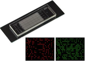 多靶標(biāo)腫瘤標(biāo)志物高靈敏檢測的微納生物傳感器件研制成功