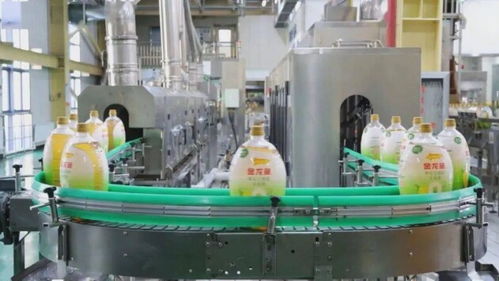 金龍魚(yú)第三代健康好油 一瓶不含反式脂肪酸的玉米油